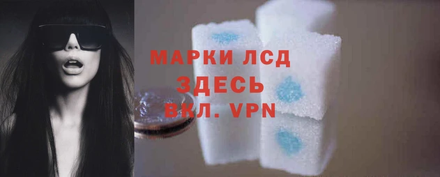 спайс Беломорск