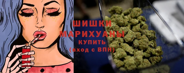 спиды Ельня